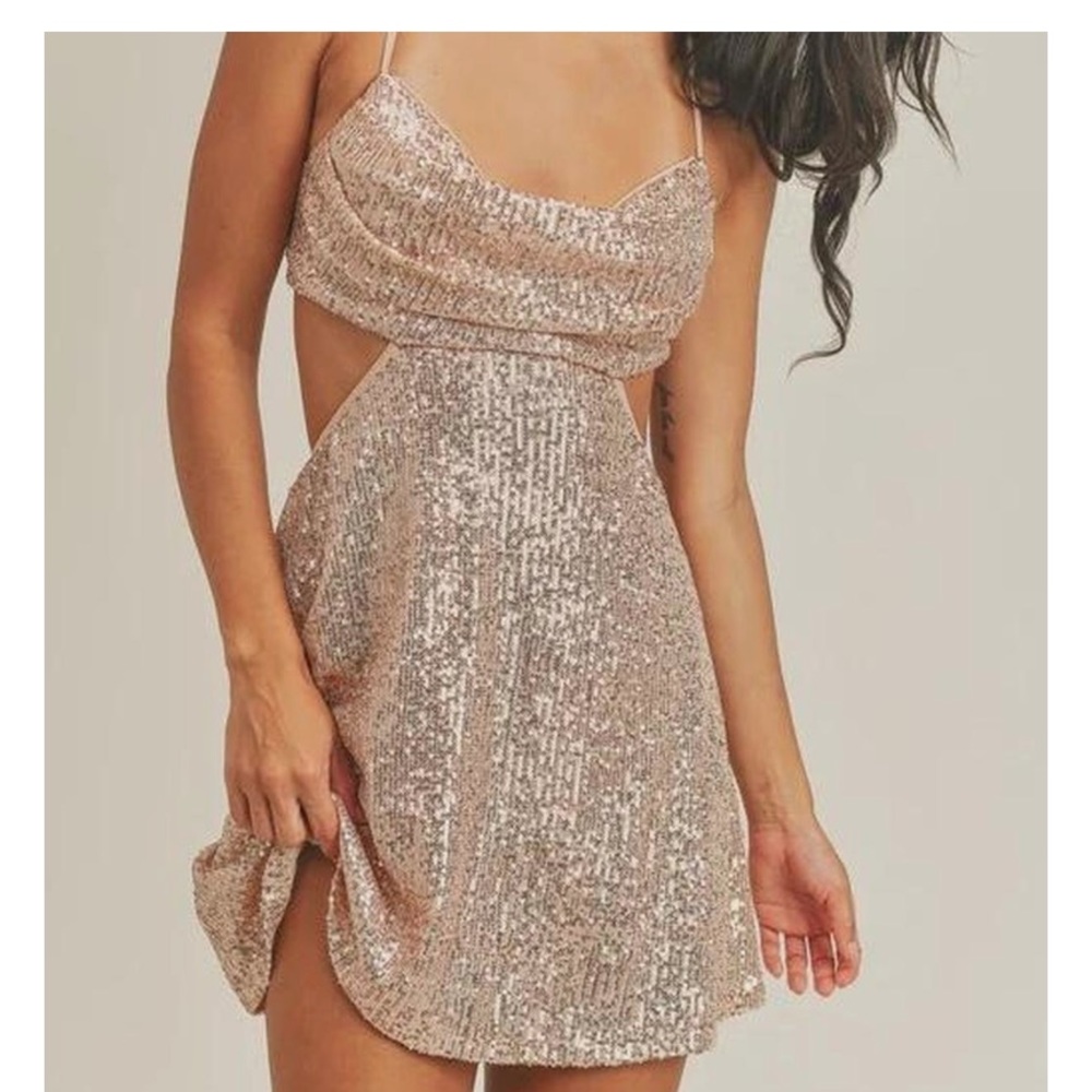 Fame and Partners rose gold dress sequins NWT